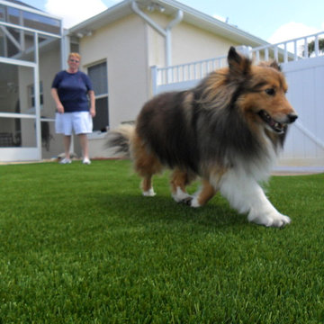 Residential Lawn