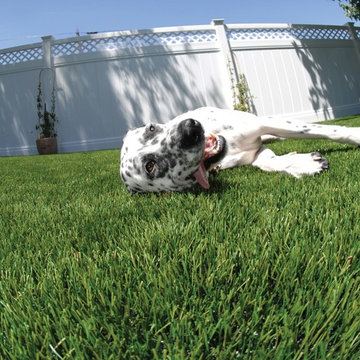 Residential Lawn