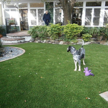 Residential Lawn