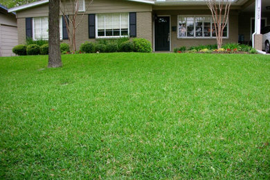 Residential Lawn Management