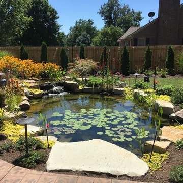 Residential Oasis - Water feature, waterfall, pergolas and more