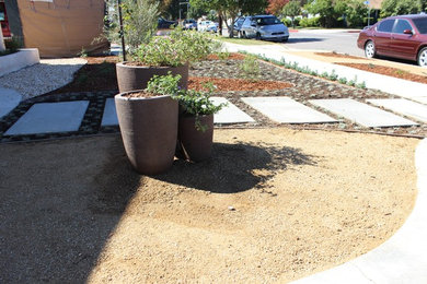 ロサンゼルスにある春のトランジショナルスタイルのおしゃれな前庭 (日向) の写真