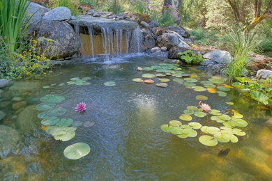 Inspiration for a large rustic drought-tolerant and partial sun hillside gravel pond in Sacramento for spring.