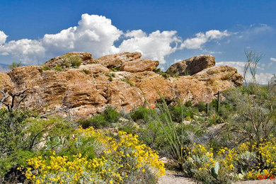 Rock Formation in the Desert Southwest