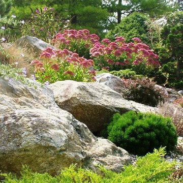 Rock Garden