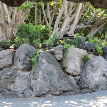 Rock Garden retaining walls