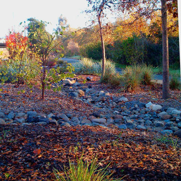 Rock lined stormwater swales conduct water and provide perennial visual interest