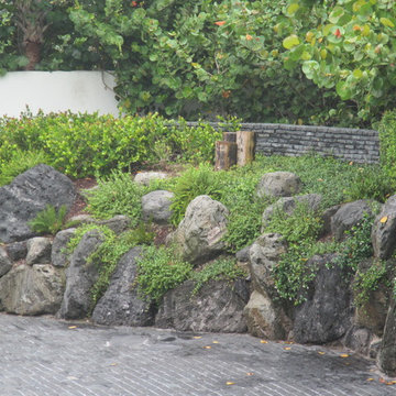 Rock wall with lush tropical plantings
