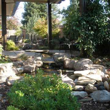 Rocklin Custom Water Feature with waterfall, Creek and Pond