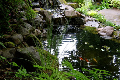Rogoza Garden Pond