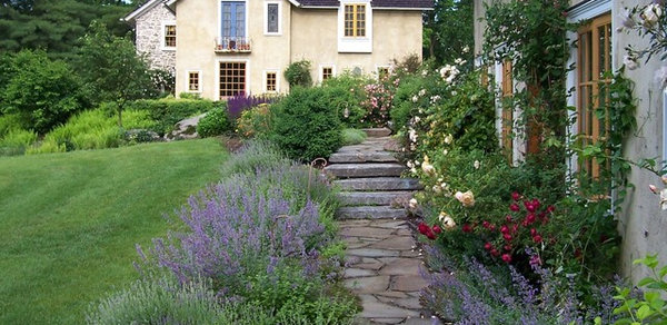 庭づくり 植物 Houzz ハウズ 庭づくり 植物 Houzz ハウズ