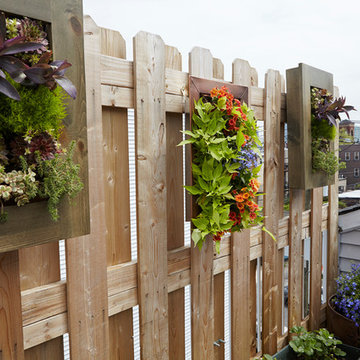 Romantic Rooftop Garden with Wall Planters