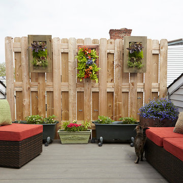 Romantic Rooftop Garden with Wall Planters