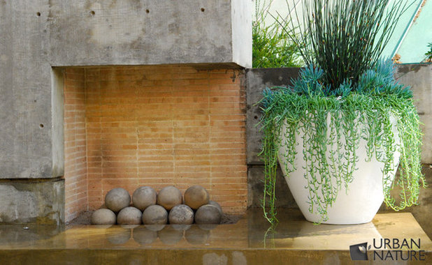 Contemporain Jardin by Troy Silva Design Group Inc.