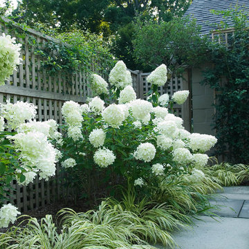 Romantic Tarrytown Terrace