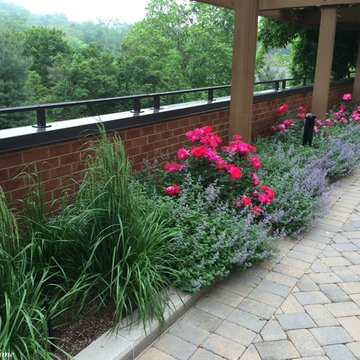 Roof Garden for Harper House Condo