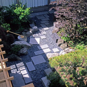 Rooftop Deck/Walkway