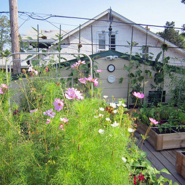 Rooftop Garden on Garage