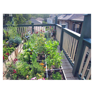 The Garage Plan Shop Blog » Vegetable Garden Ideas for Beginners