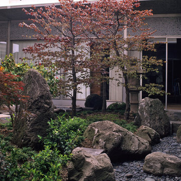 Rooftop Garden