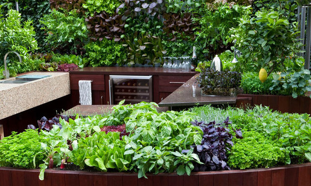Contemporary Garden by Aralia: Innovation in Landscape Design
