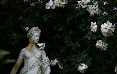 Get the Mystery of a Gothic Garden for Yourself
