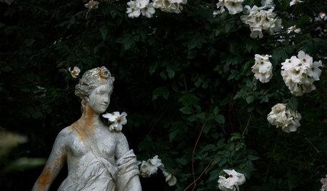 Get the Mystery of a Gothic Garden for Yourself