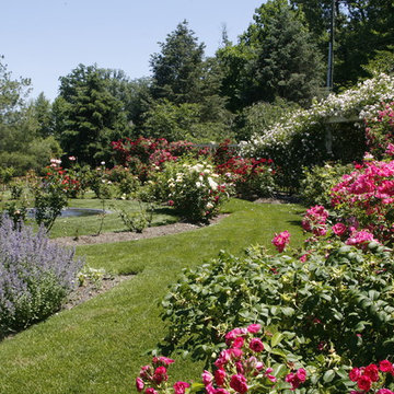 Rose Garden and Arbor
