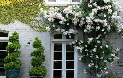 Decora tu fachada con flores y plantas