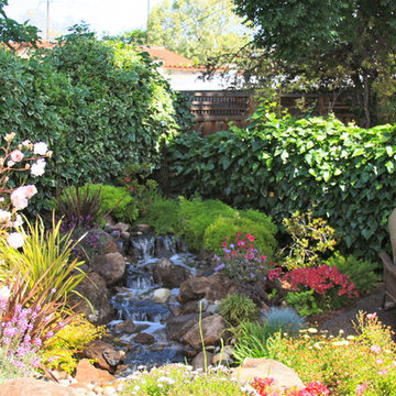 Rose Garden Oasis