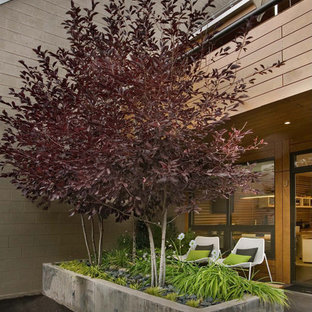 Photo of a modern landscaping in Denver.