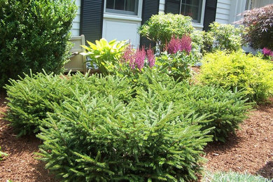 This is an example of a mid-sized traditional full sun front yard mulch landscaping in Boston for fall.