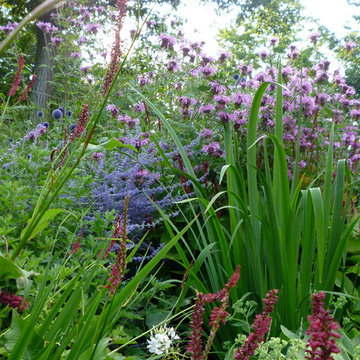 Rural Gardens