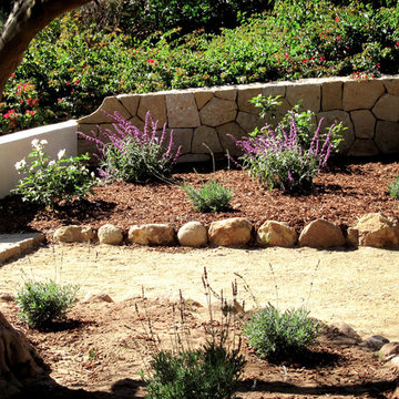 Rural Santa Barbara Sandstone Garden Walls and Landscaping with drought tolerant