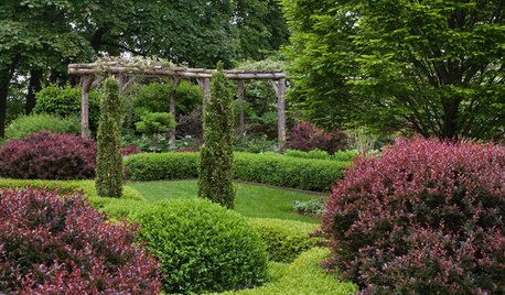 Don't Hedge Me In: Check Out These Alternatives to Box Hedges