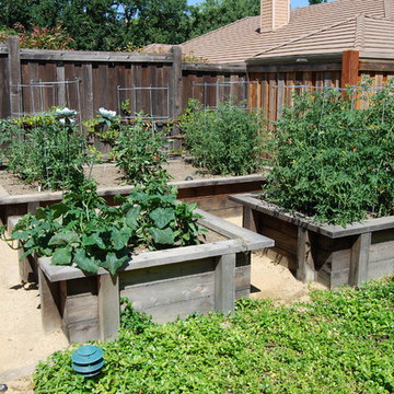 Rustic Garden