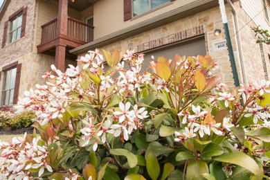 images Bella Vista Homes San Antonio Tx bella vista homes san antonio tx us