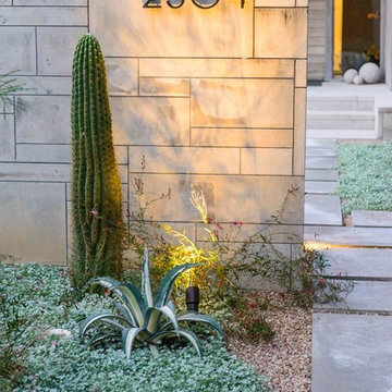 Saguaro Cactus and Agave Mix at Entry