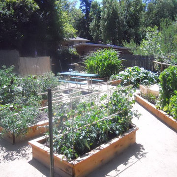 San Anselmo Organic Garden