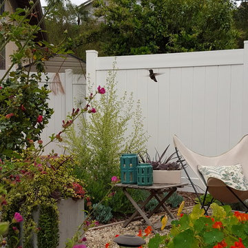 San Clemente Hummingbird Garden