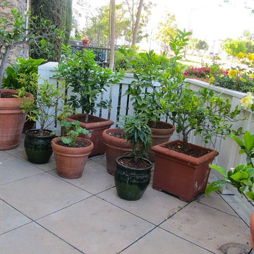 San Diego Garden Staging