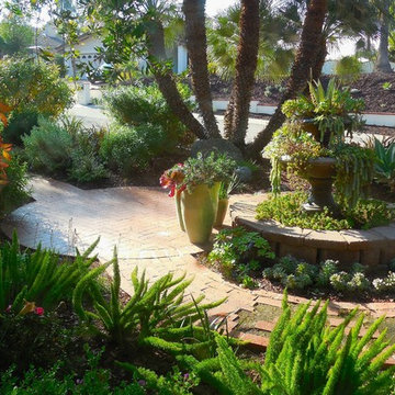 San Diego Waterwise Courtyard Garden