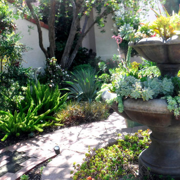 San Diego Waterwise Courtyard Garden