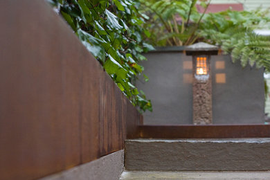 Inspiration for a modern courtyard landscaping in San Francisco.