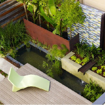 San Francisco Oasis