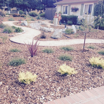 San Jose Front Lawn Conversion, newly planted