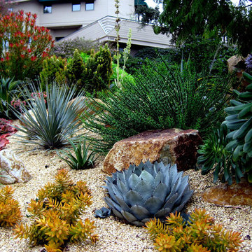 San Luis Obispo "Obispo Beautiful" Award-Winner!