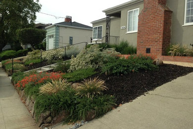 Photo of a mid-sized drought-tolerant and full sun front yard retaining wall landscape in San Francisco.