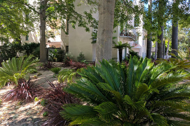 This is an example of a large mediterranean drought-tolerant and partial sun courtyard landscaping in San Francisco.