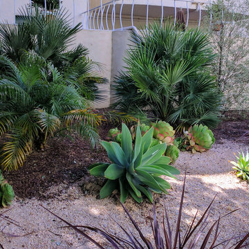 Drought Tolerant Landscaping in San Mateo